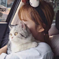 ［头像］猫