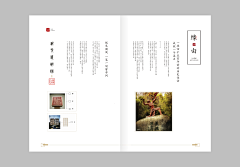 6xin采集到排版