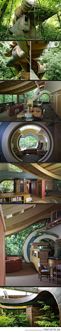 Organic Architect Robert Oshatz’s house (  Portland, Oregon )