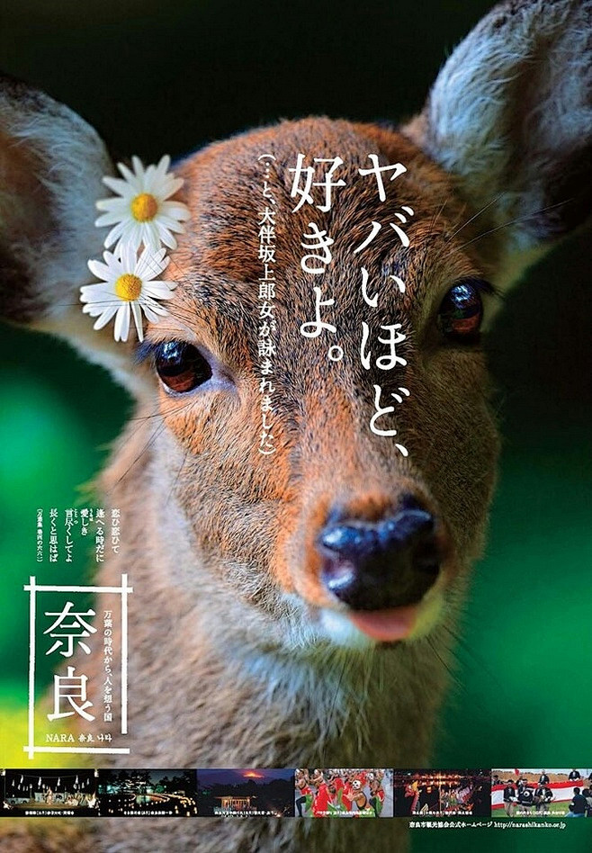 奈良的旅游海报。