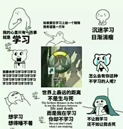 好star采集到动物