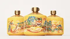 liquor packaging 包装设计 插画 插畫創作 illustration 白酒包装 虎年插画