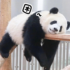 做了一组萌兰 么么儿表情包