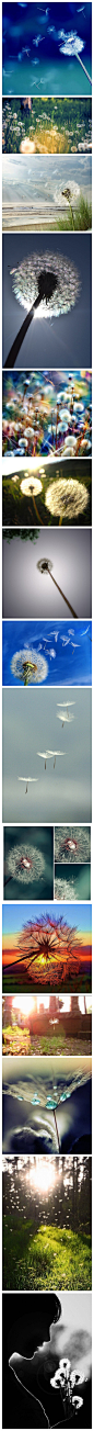 风景_百度图片