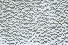 雪,冰,平视角,小的,冰晶,水,水平画幅,无人,户外,特写