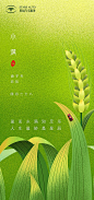 仙图-小满节气移动端海报