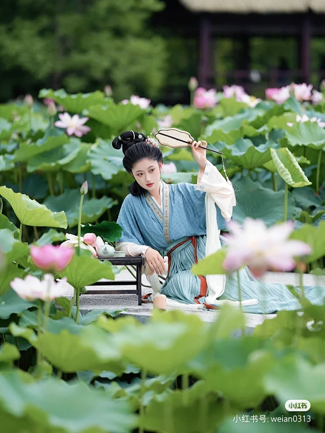 图片_所谓伊人，在水一方图片素材-花瓣网