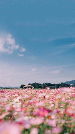 胡巍莹采集到天空