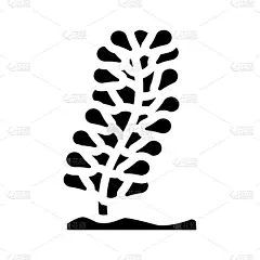 扁豆藻海藻字形图标矢量插图