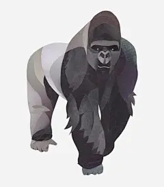 猩猩插画免抠素材_新图网 https://ixintu.com 动物 大猩猩 公猩猩 猩猩免扣元素