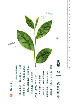 第七猎人采集到茶声茶语