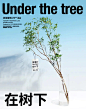 超级植物SUPERPLANTS