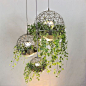 Nice 40+ Hanging Plant Ideas https://pinarchitecture.com/40-hanging-plant-ideas/