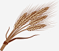 谷物麦子创意图标 麦子 麦穗 麦穗图标 UI图标 设计图片 免费下载 页面网页 平面电商 创意素材