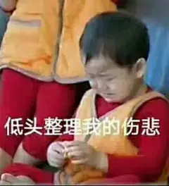 低头整理我的悲伤