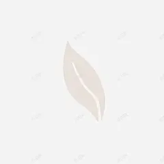 手绘樱花免扣墨水钢笔花卉插画典雅装饰包装设计图形 钢笔 元素 免抠png 设计图片 免费下载 页面网页 平面电商 创意素材