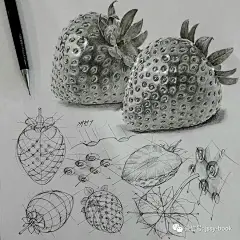素描结构｜韩国画家anjjaemi 【小编推荐】 : 素描结构｜韩国画家anjjaemi 【小编推荐】,素描,绘画,画家,门类