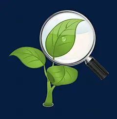 放大镜观察植物的搜索结果_百度图片搜索