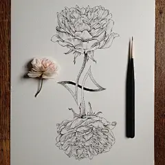 狐酱是只喵的相册-花绘 Noel Badges Pugh