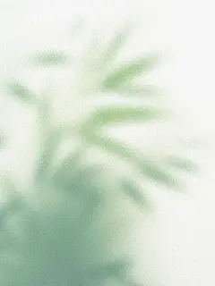 绿色系清新高级感磨砂背景图|底图壁纸