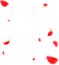 花卉 花卉PNG 花瓣 自然 清新 飘花瓣 花朵 植物 飞舞 悬浮素材 海报素材 免抠素材 透明背景 png素材 —— 1设计素材网