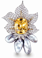 Donna Vock Designs A magnificent yellow sapphire brooch comprising of, diamonds & natural color Tahitian Keshi pearls, mounted in platinum and 18 karat yellow gold with yellow sapphire = 24.58 carats total weight and marquise and rounds diamonds = 10.