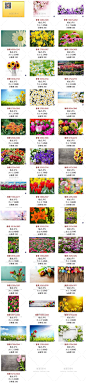 [gq70]36张春天盛开花朵背景大图网站PS设计高清图片素材-淘宝网