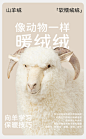 德绒羊绒蚕丝自发热半高领保暖内衣女秋衣秋裤男士加绒加厚棉毛衫-tmall.com天猫
