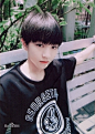 TFBOYS  王俊凯