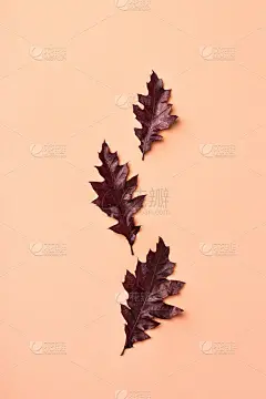 创意秋天秋天的感恩节作文装饰干树叶