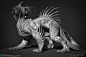 Razorback Whiptail - Zbrush Renders