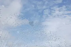 水,水滴,桨叉架船,卷层云,卷积云,卷云,自然,天空,水平画幅,地形
