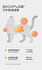 petpep月半皮猫粮全价低温烘焙生骨肉鸡肉冻干混合粮1.5kg胖皮1+1-tmall.com天猫