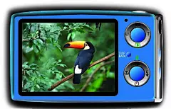 富士相机矢量图背面电脑网络|富士数码照相机|生活百科|矢量素材|数码设备|数码设备生产企业画册|数码设备展板|数码设备公司名片模板|数码设备包装