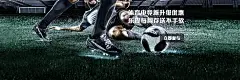 米博体育8383手游电脑版下载(暂未上线)_米博体育8383手游pc版下载v1.0.0