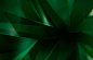 6c57093bc54d54e133e7ca4a2716225e90a9cd28967ac-dcpLMy_fw1200