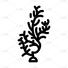 紫菜线图标矢量插图