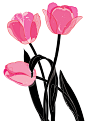greeting cards tulip daffodil primrose