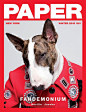 Paper Magazine Winter 2015 Magazine Covers (Paper Magazine) : Paper Magazine Winter 2015 Magazine Covers