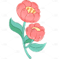 处暑节气可爱温馨插画花朵