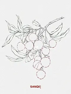 包装插画制作流程 | 插画→包装→渲染