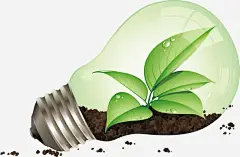 矢量手绘灯泡植物png免抠素材_新图网 https://ixintu.com 矢量 环保 土壤 手绘 灯泡 植物