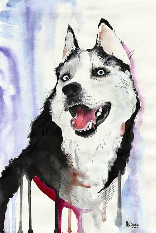 Kinovich 手绘水彩宠物插画