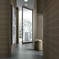 swing door version, brown aluminium frame and reflecting light-coloured glass