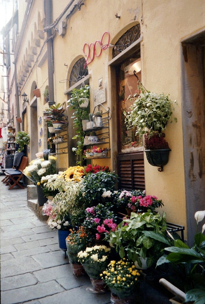 意大利蒙特罗索可爱的花店