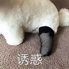 诱惑 