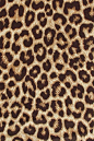 Leopard iPhone Wallpaper: 