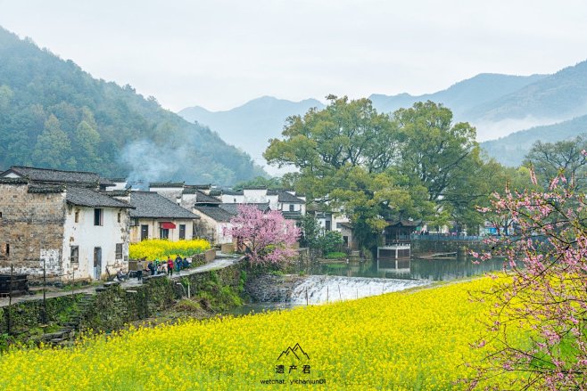 遗产君的照片 - 微相册