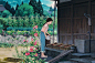 夏天 ​​​​