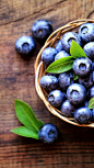 蓝莓 水果